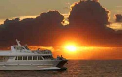 Sunset Dinner Cruise