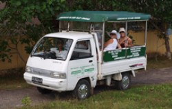 Lembongan Activities