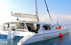 The Waka Cruise